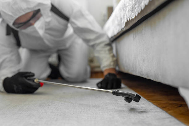 Professional Bed Bug Control technician working in East Providence, RI