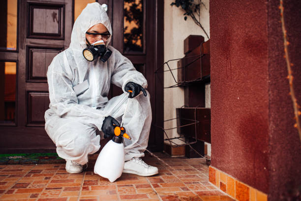 Reliable Bed Bug Control contractor in East Providence, RI by Nex Pest Control