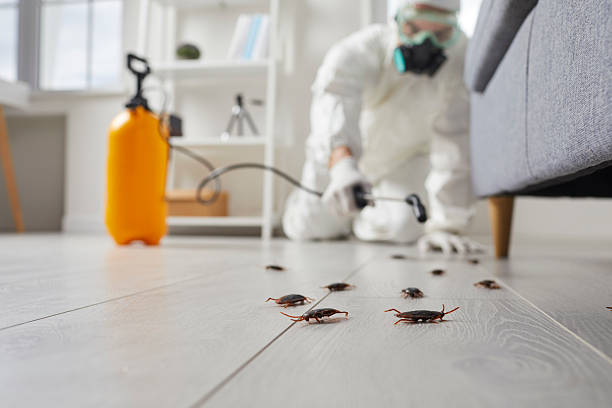Trusted Cockroach Control service in East Providence, RI - Nex Pest Control