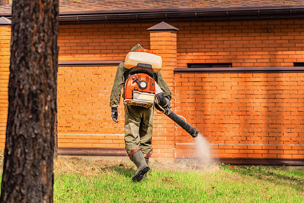 Trusted Rodent Control service in East Providence, RI - Nex Pest Control